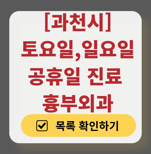 과천시 주말 토요일 일요일 흉부외과 진료 병원 목록 ❘ 공휴일 진료 영업 병원 리스트 찾기