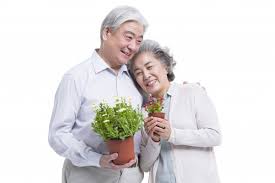 국민연금 개혁정책의 변화-다정한 시니어부부
