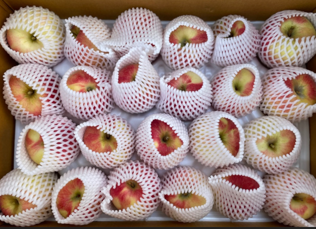 따봄농장문경사과