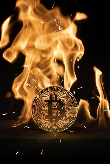 도지코인(Dogecoin) 전망