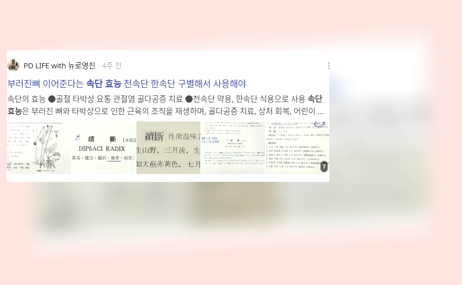 속단 효능_2_subsection