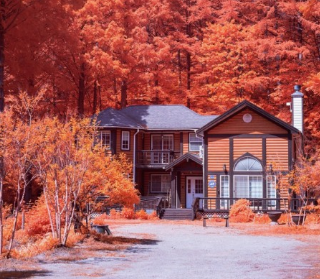 '아무도 없는 숲속에서' 촬영