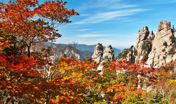 설악산 단풍