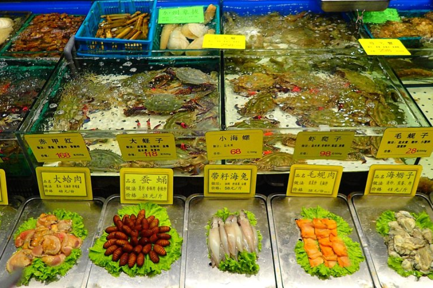 중국 대련 여행 완벽 가이드! 필수 코스부터 맛집까지