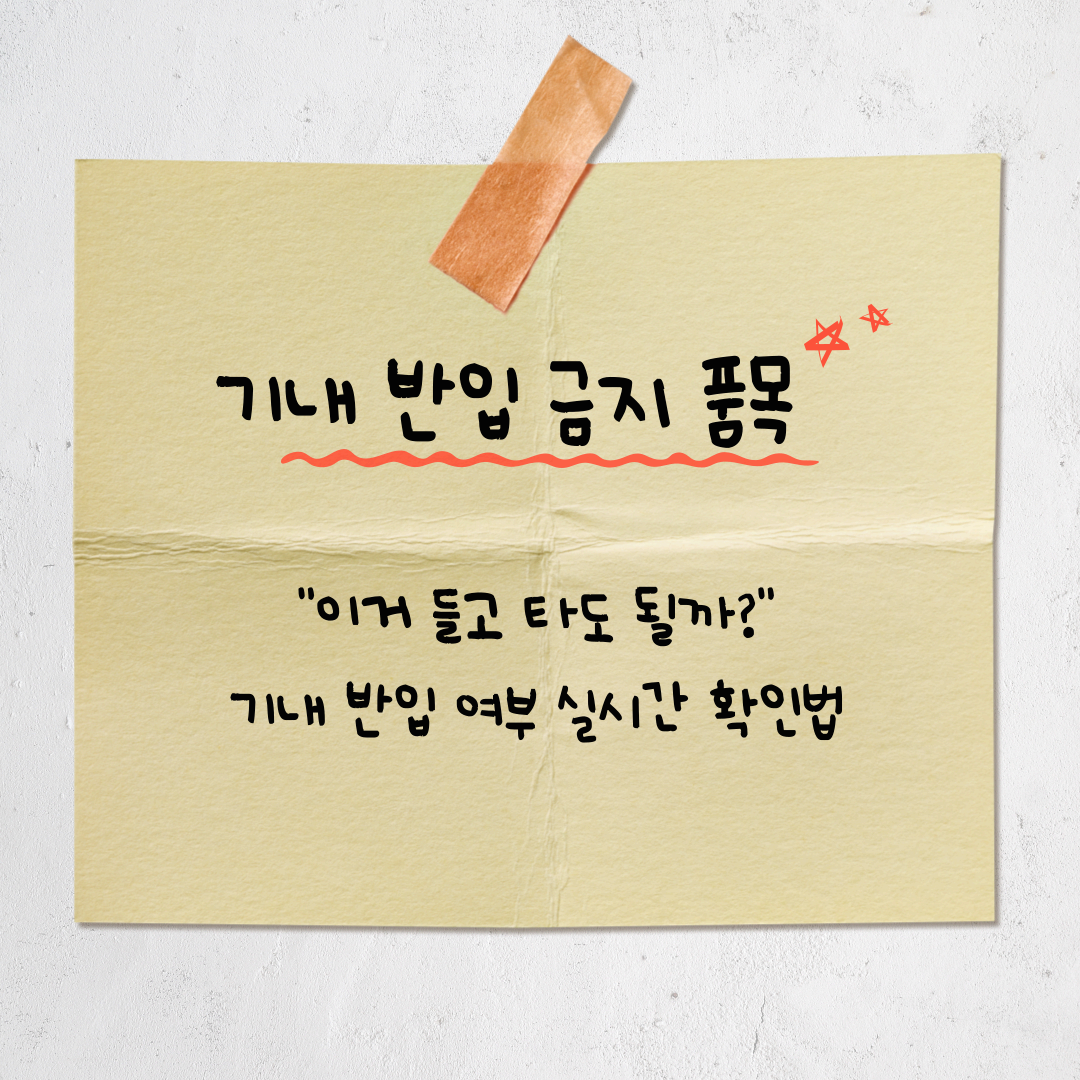 이거 들고 타도 될까? 비행기 기내 반입 여부 실시간 확인법