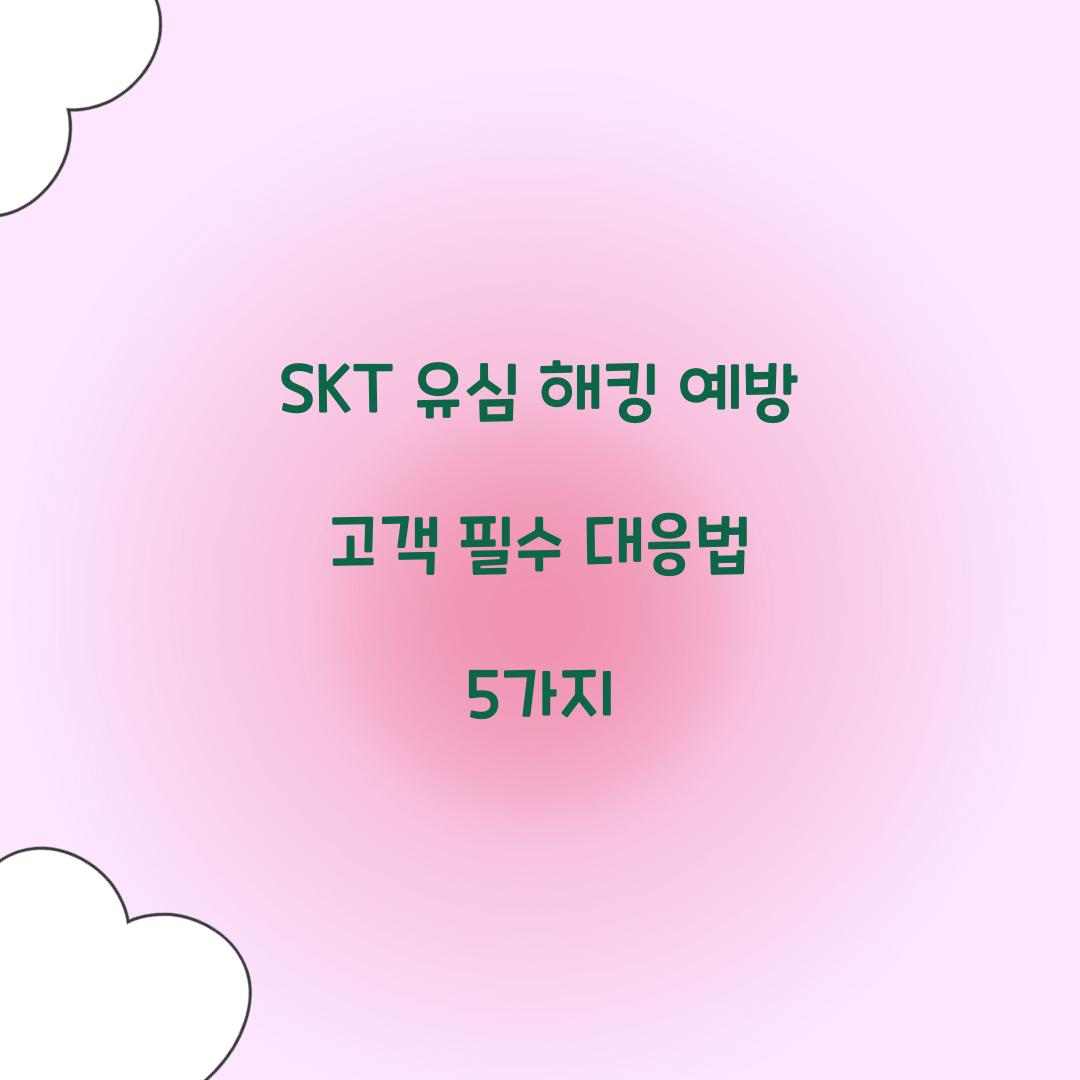 SKT 유심 해킹 예방