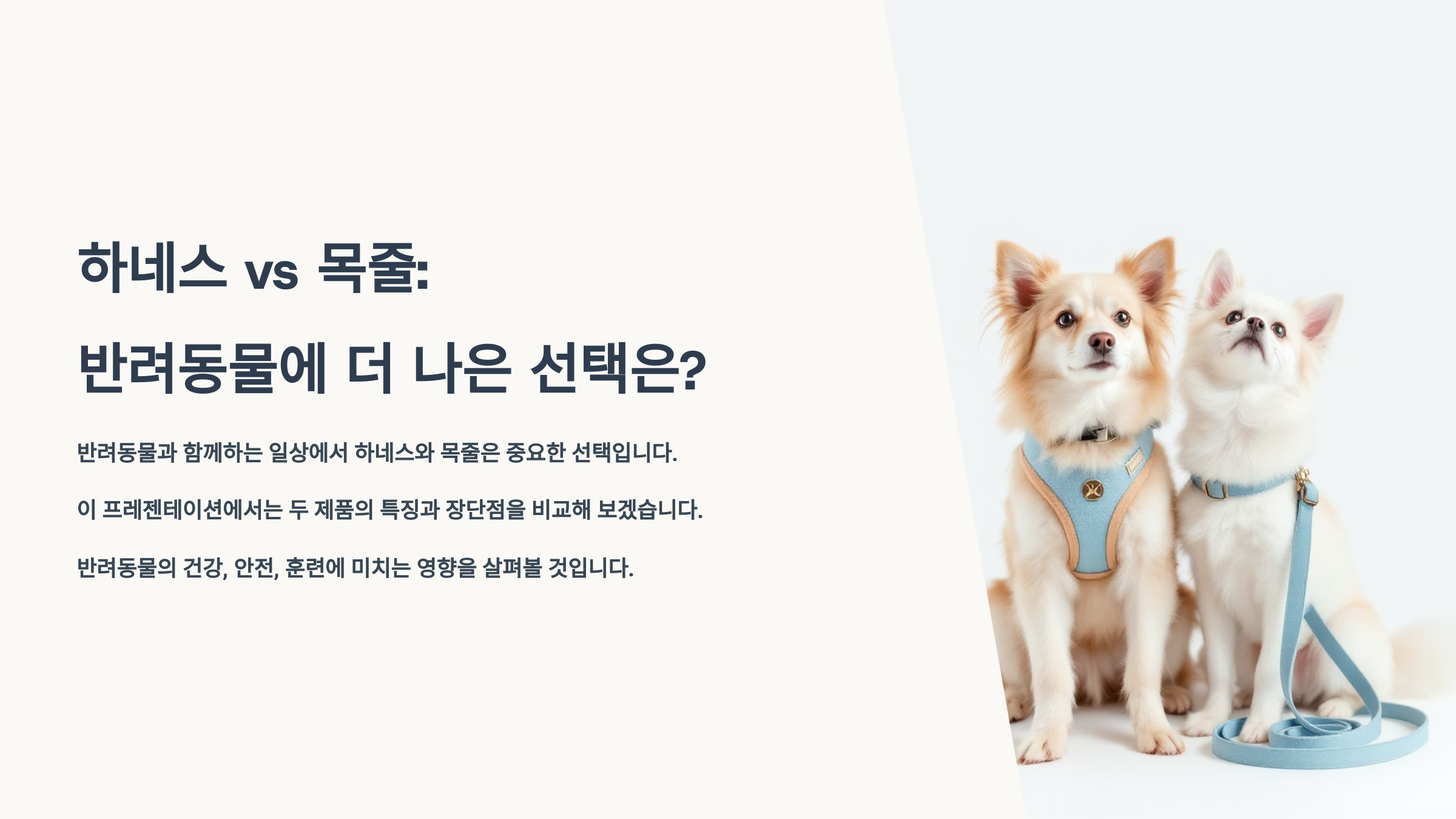 하네스 vs 목줄, 반려동물에 더 나은 선택은?