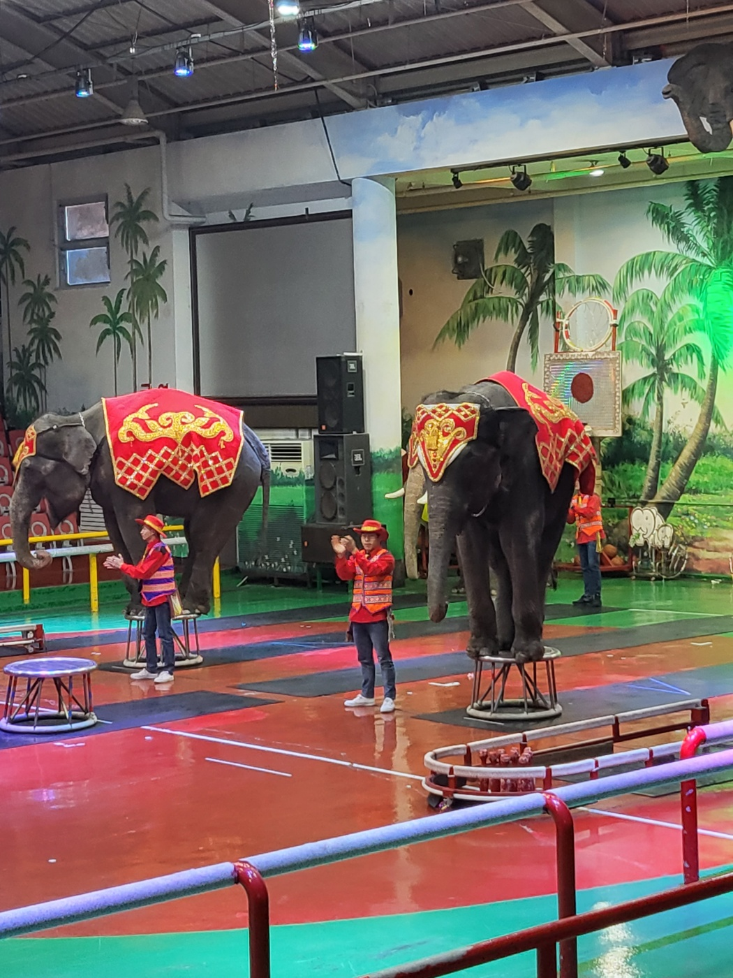 제주도 아이와가볼만한곳&amp;#44; 점보빌리지