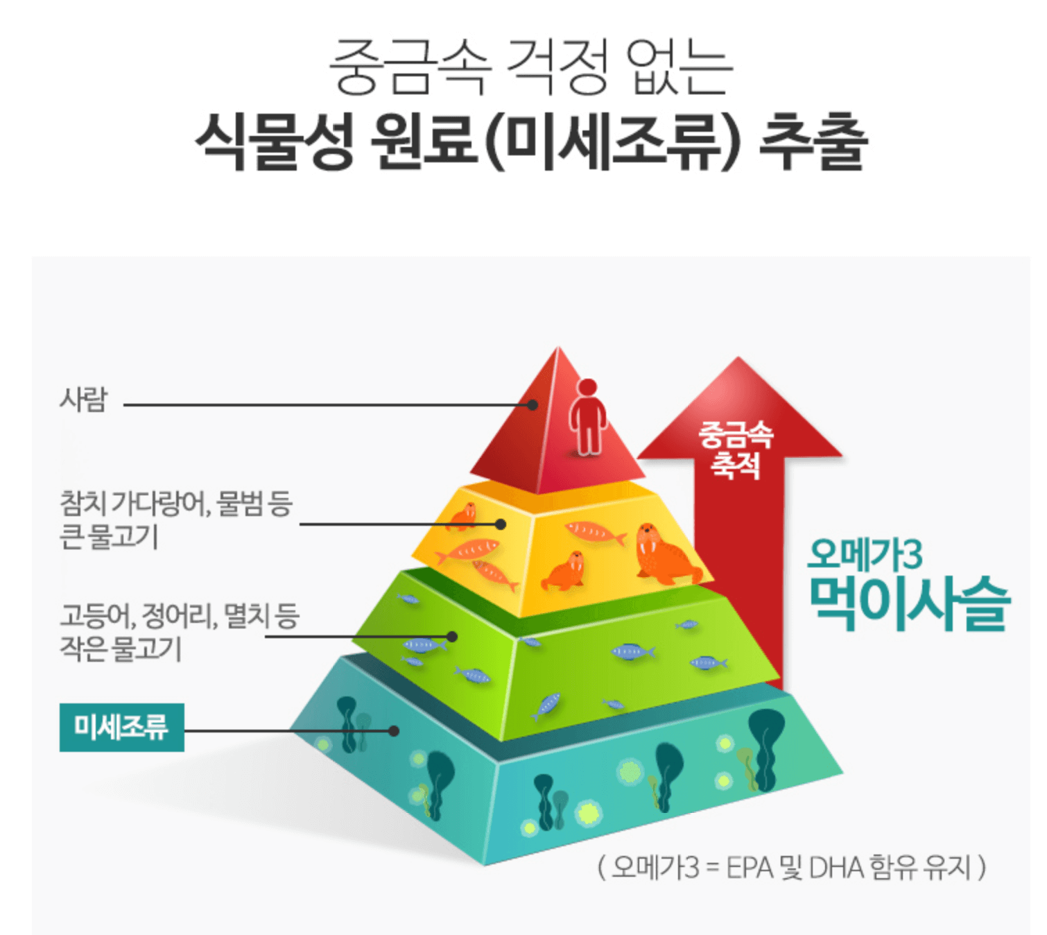식물성 추출