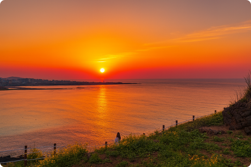 함덕 서우봉해변 새해 일출 해돋이 명소+AI /출처:제주비짓