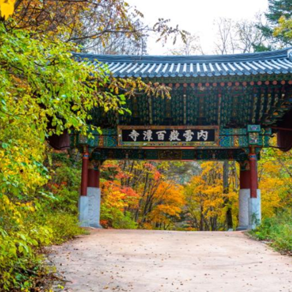 단풍