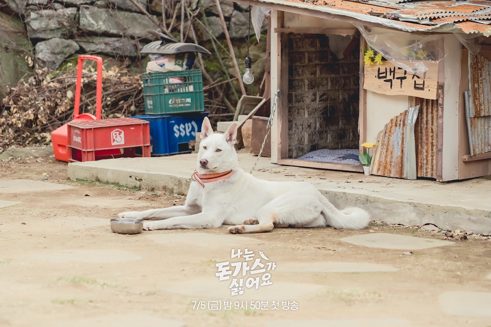 MBC 단편드라마 나는 돈가스가 싫어요 등장인물관계도 출연진 정보