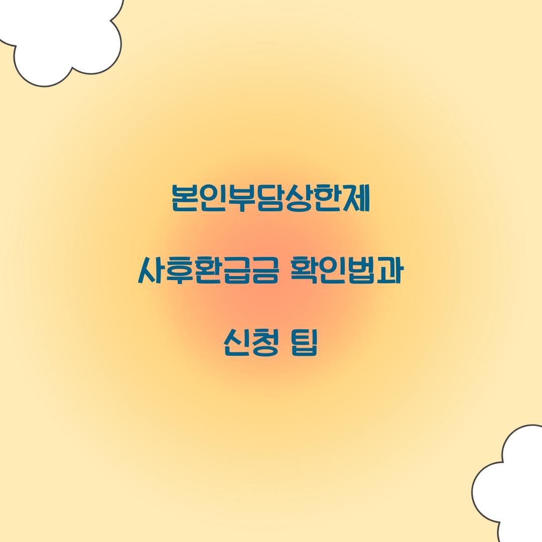 본인부담상한제 사후환급금
