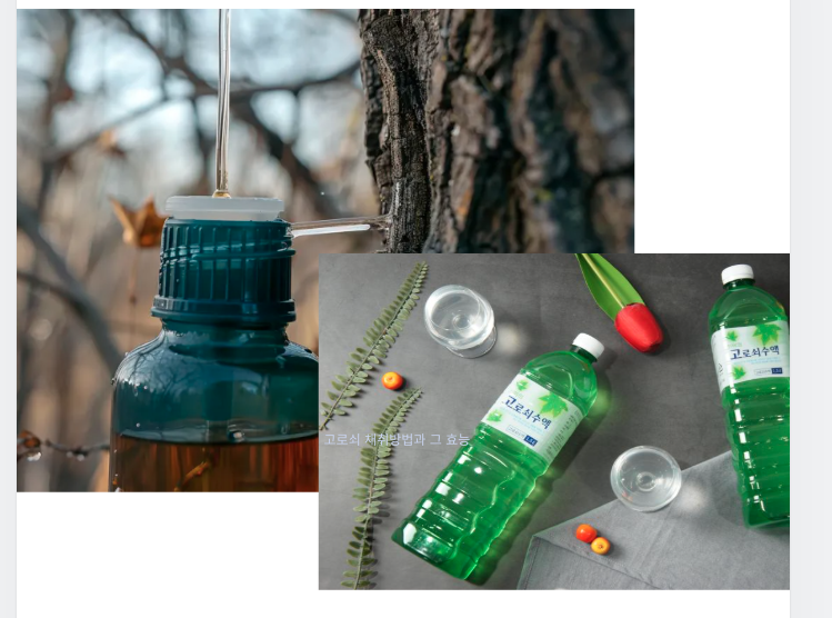 고로쇠 수액 채취 방법, 종류, 효능에 대한 완벽 가이드