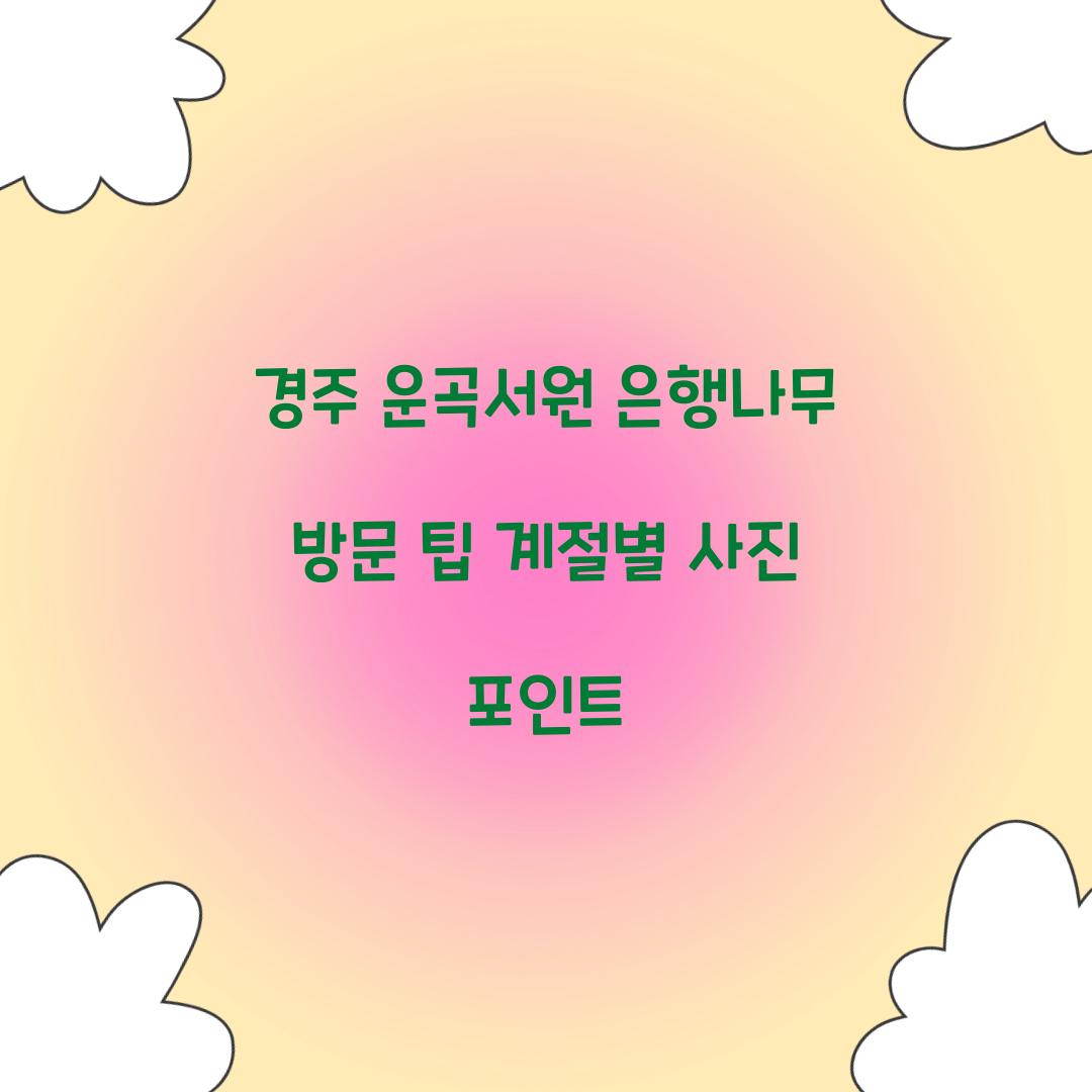 경주 운곡서원 은행나무