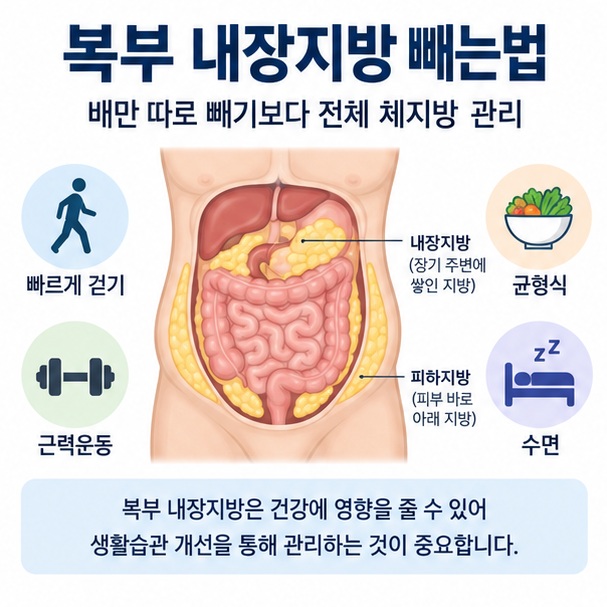 복부 내장지방 빼는법과 걷기 근력운동 균형식 수면을 함께 보여주는 교육용 이미지