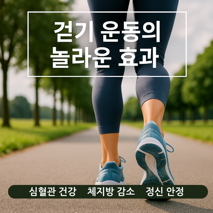 걷는 모습이 담긴 이미지