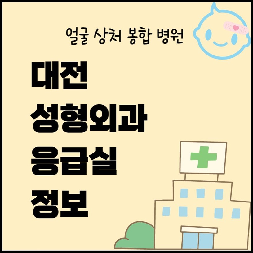 대전 얼굴 상처 봉합 성형외과 응급실 병원 정보