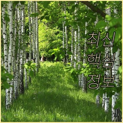 인상된 ESTA 수수료 두 번 내지 ..