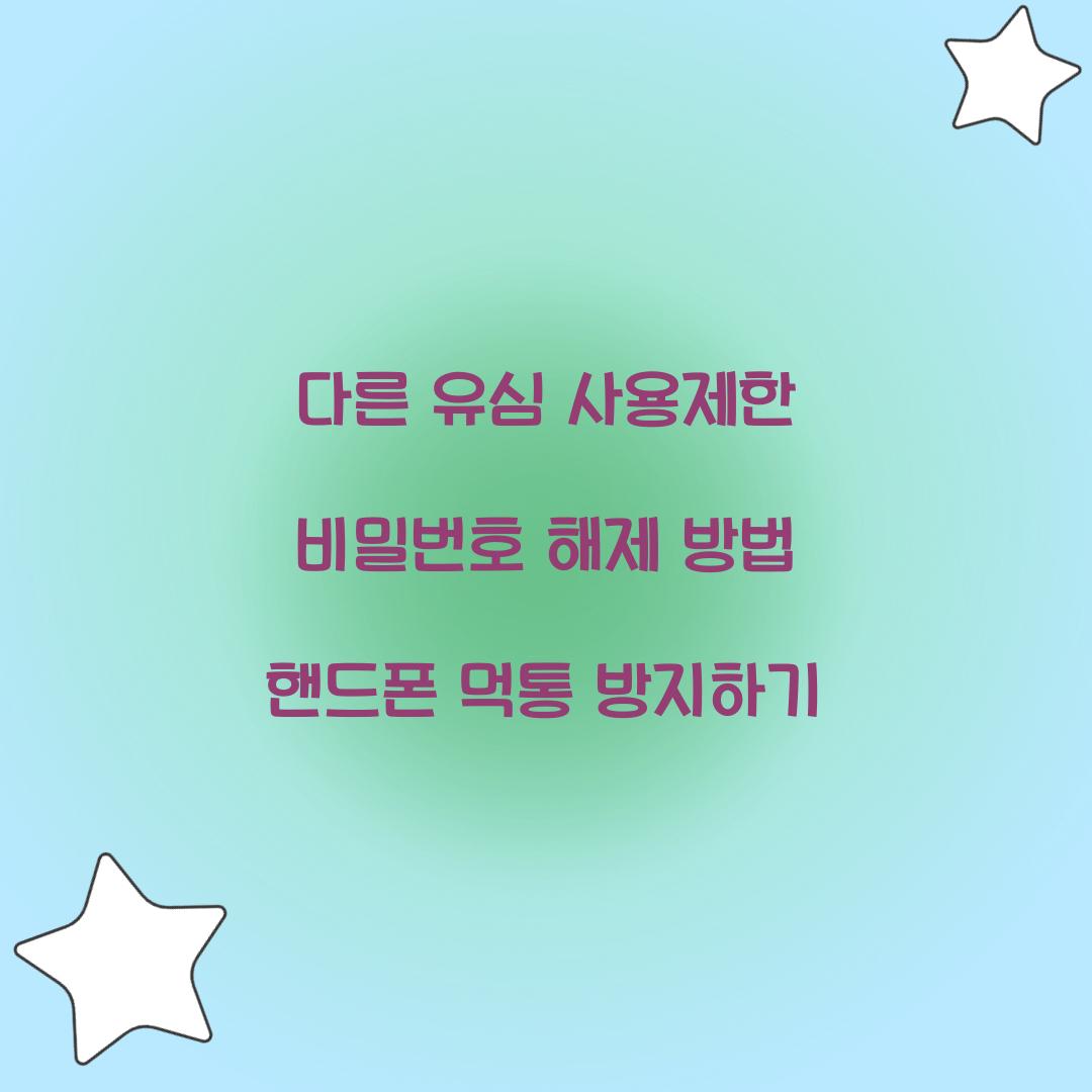 다른 유심 사용제한 비밀번호