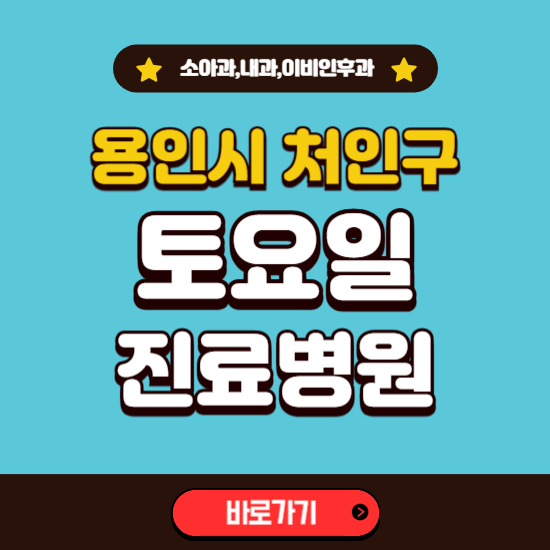 용인시 처인구 토요일 진료 병원 찾기 ❘ 주말 문여는 소아과, 내과, 이비인후과 리스트