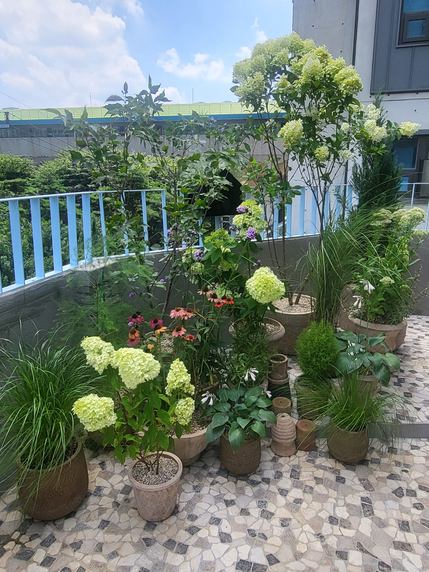 브라우터 옥상화분