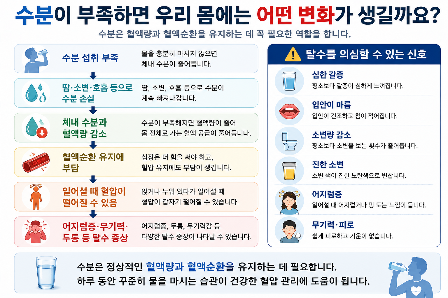 수분 부족과 혈액순환 관계를 설명하는 그림