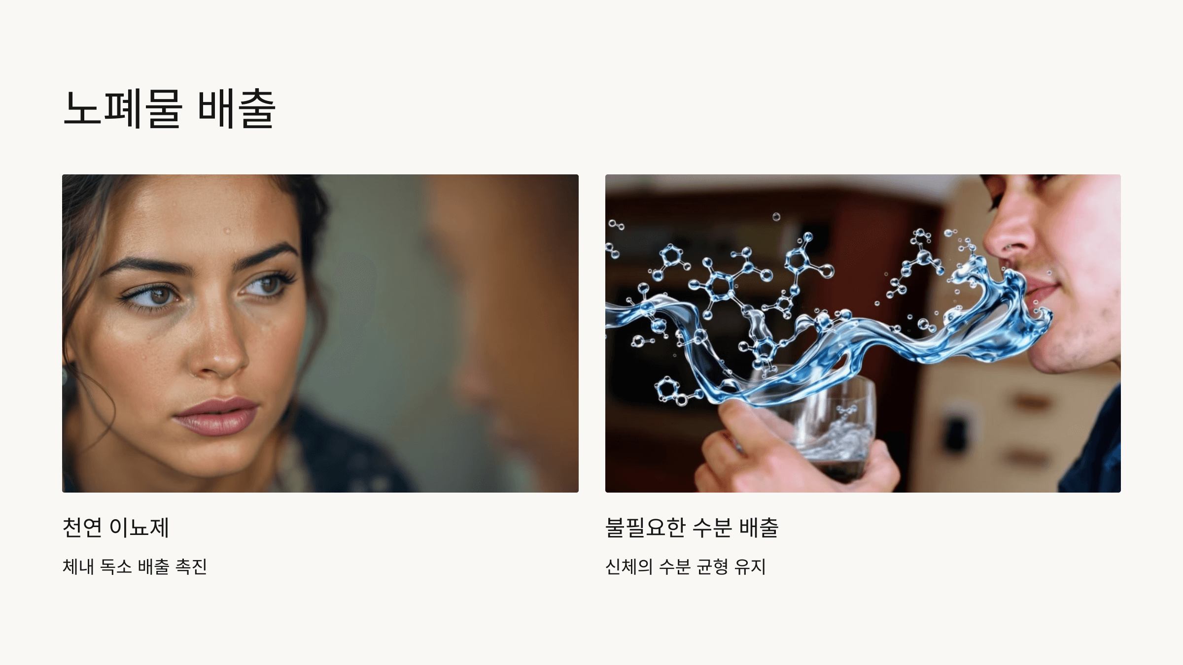 마가목 열매 사진입니다.