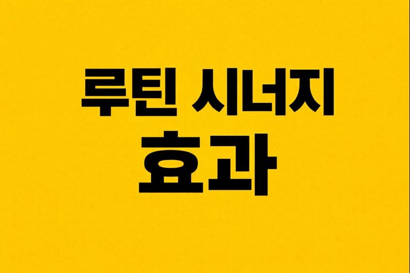 루틴 시너지 효과