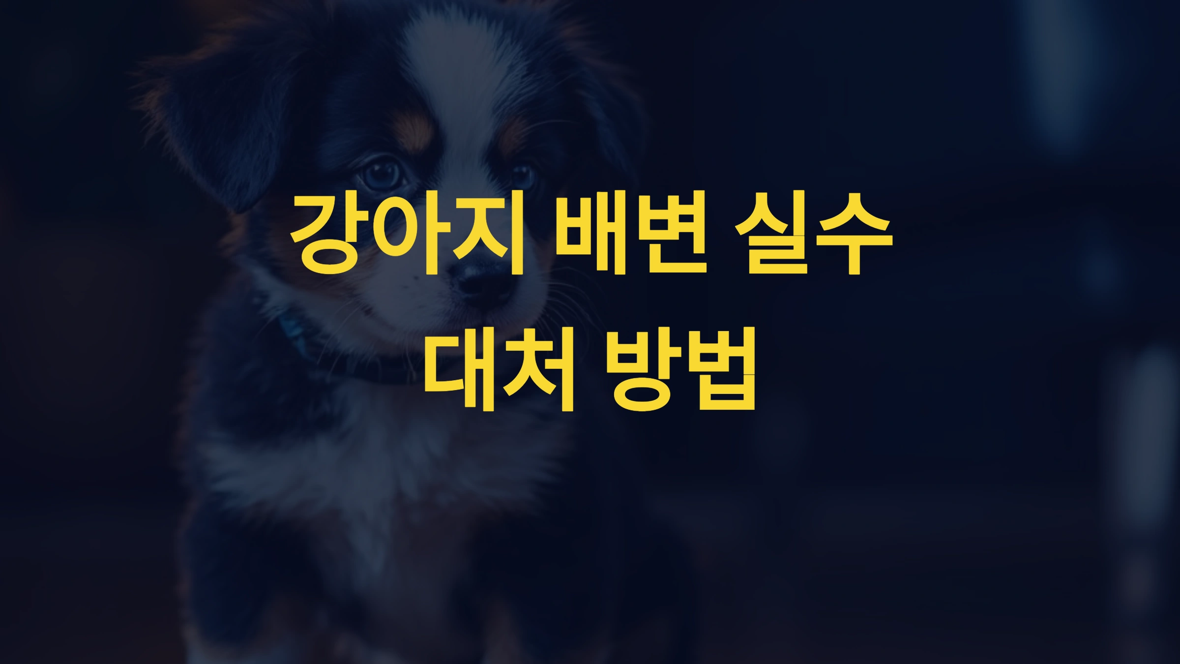강아지가 배변 실수를 했을 때 대처 방법