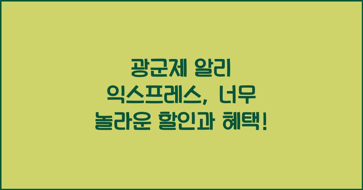 광군제 알리 익스프레스