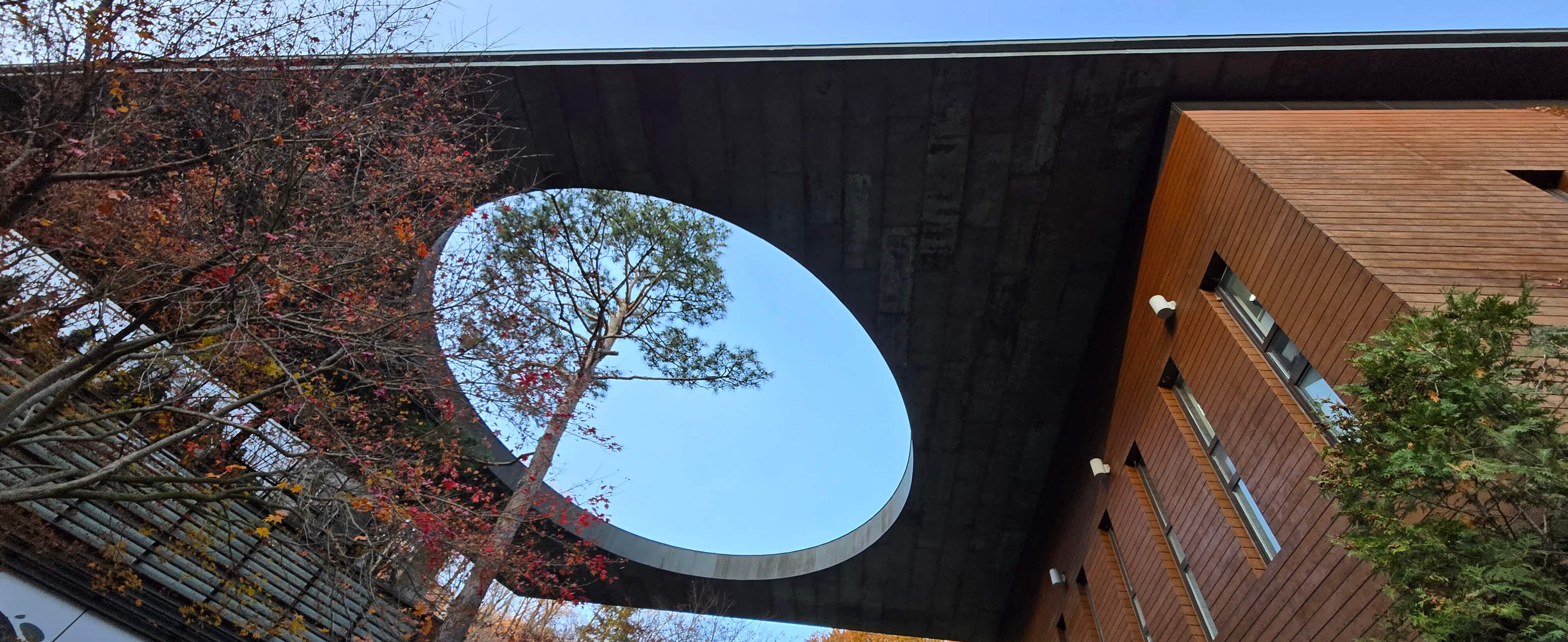 불안극복