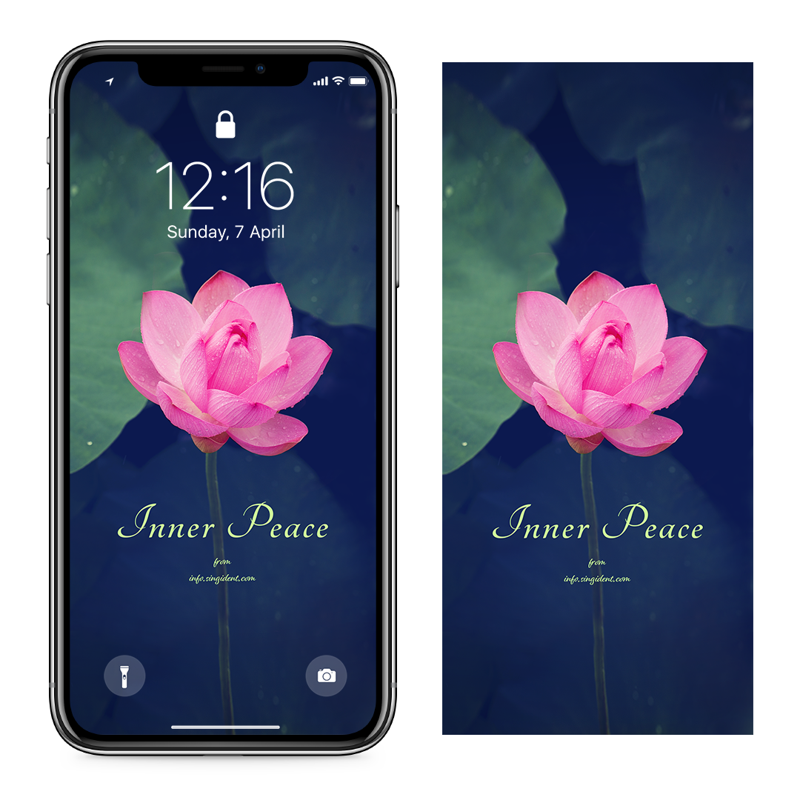 04 연꽃 C - Inner Peace 아이폰꽃배경화면