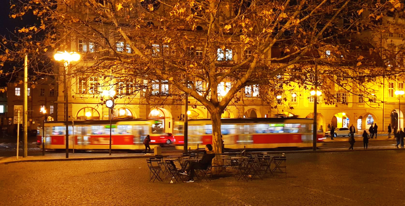 프라하 나무 아래서