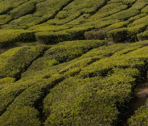 무료 이미지 사이트-Unsplash