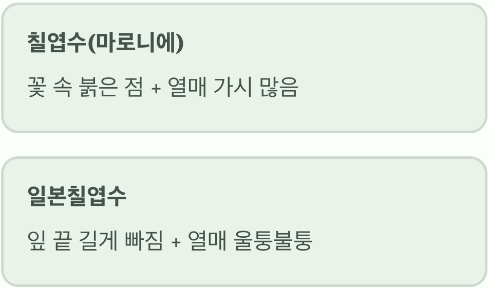 이제 당신도 차이점을 아는 전문가