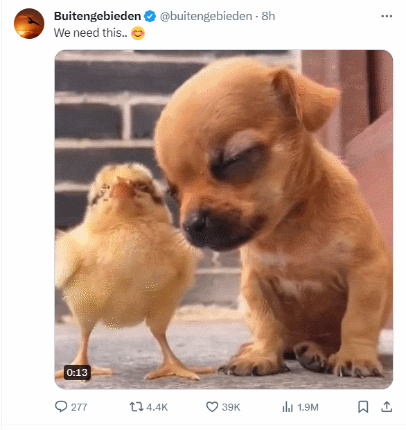 꾸벅이 ㅣ 악어의 놀라운 점프력