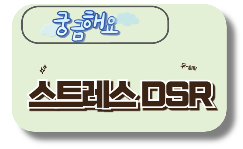 궁금해요 스트레스 DSR