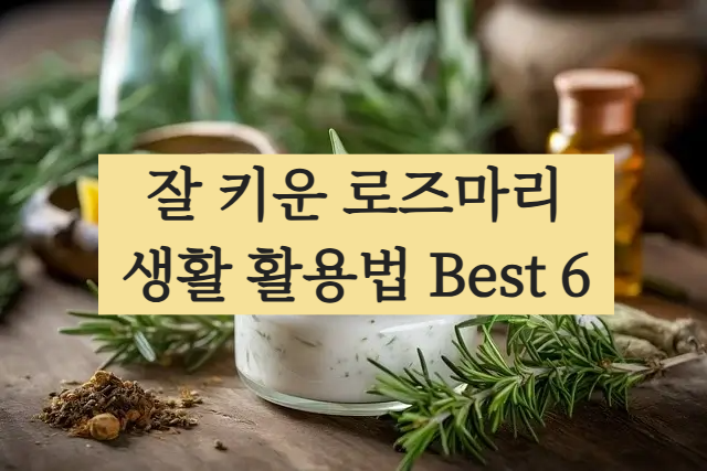 로즈마리 활용법