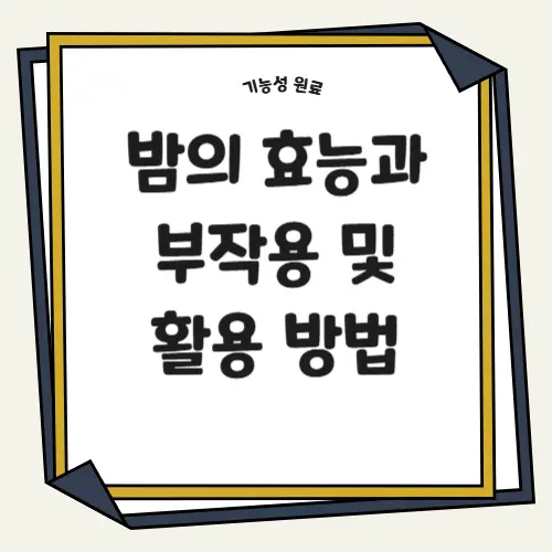 밤의 효능과 부작용 및 활용 방법 썸네일