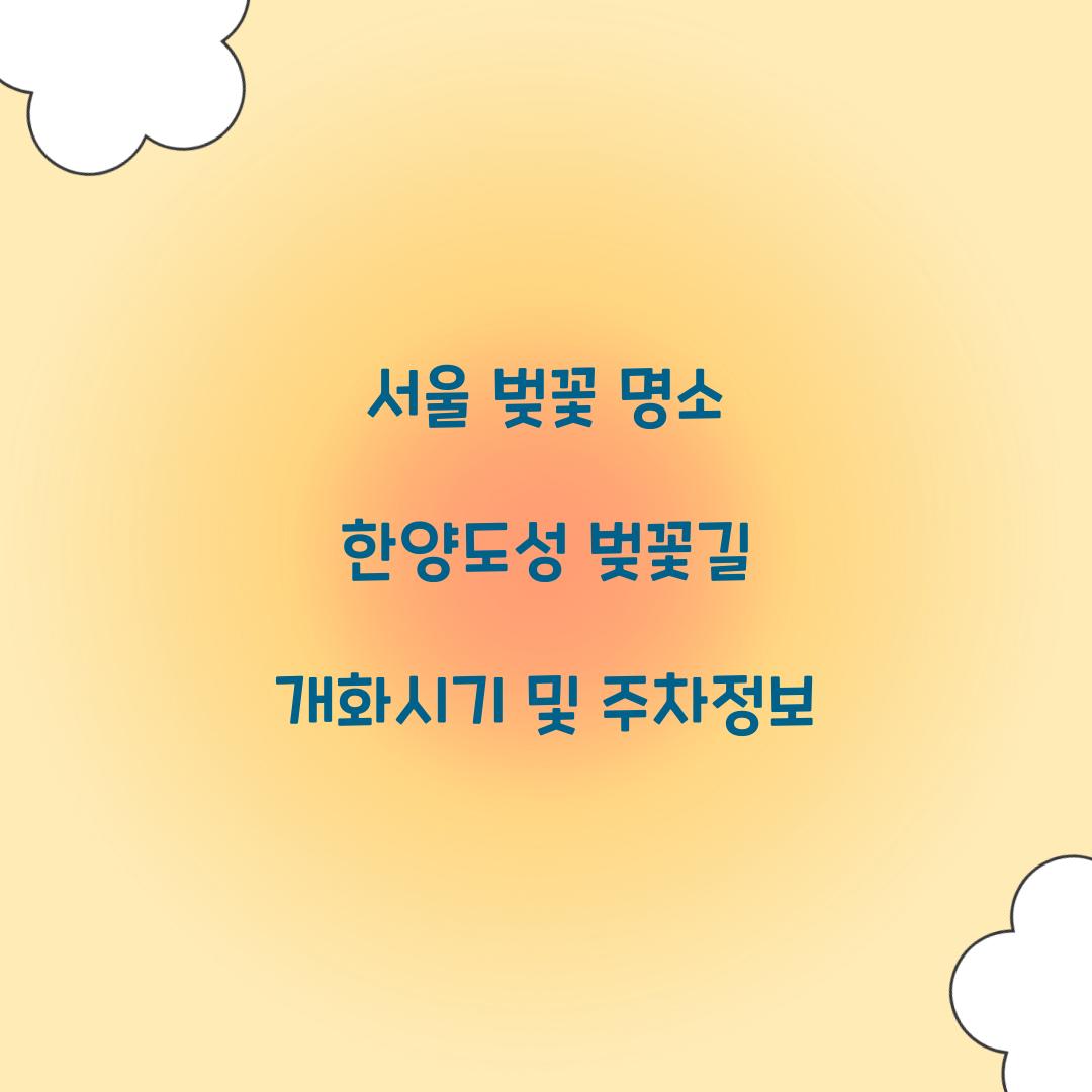 서울 벚꽃 명소