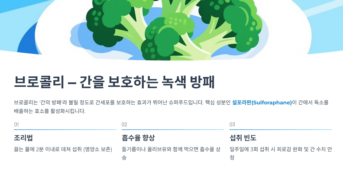 브로콜리 — 간을 보호하는 녹색 방패
