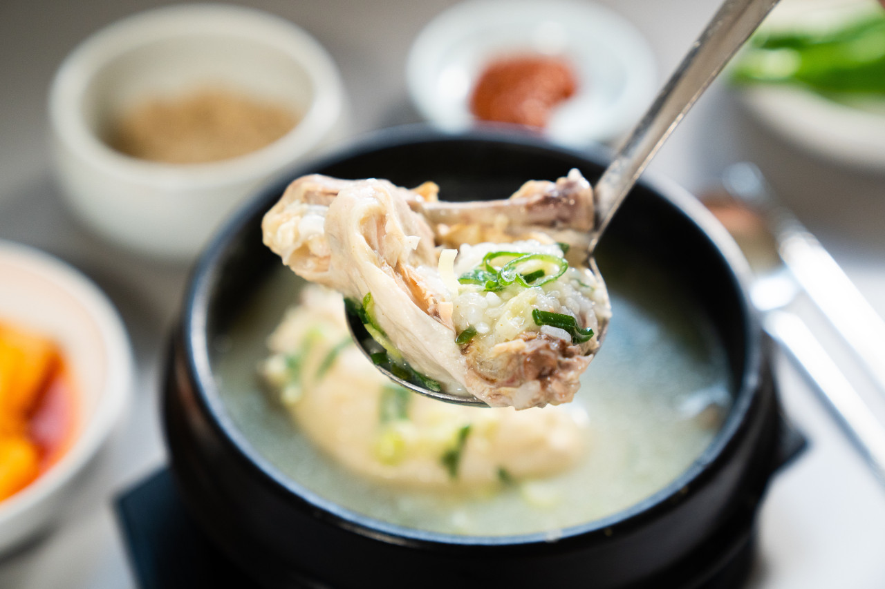 생방송 투데이 삼계탕