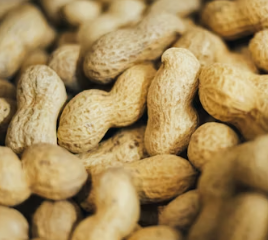 비타민E가 많은 음식