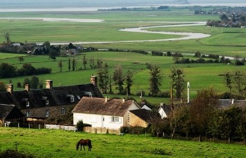 신혼부부 특별공급 조건 총정리|청약 당첨을 노리는 최고의 기회