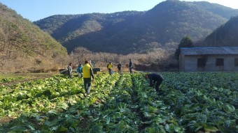 임업직불금