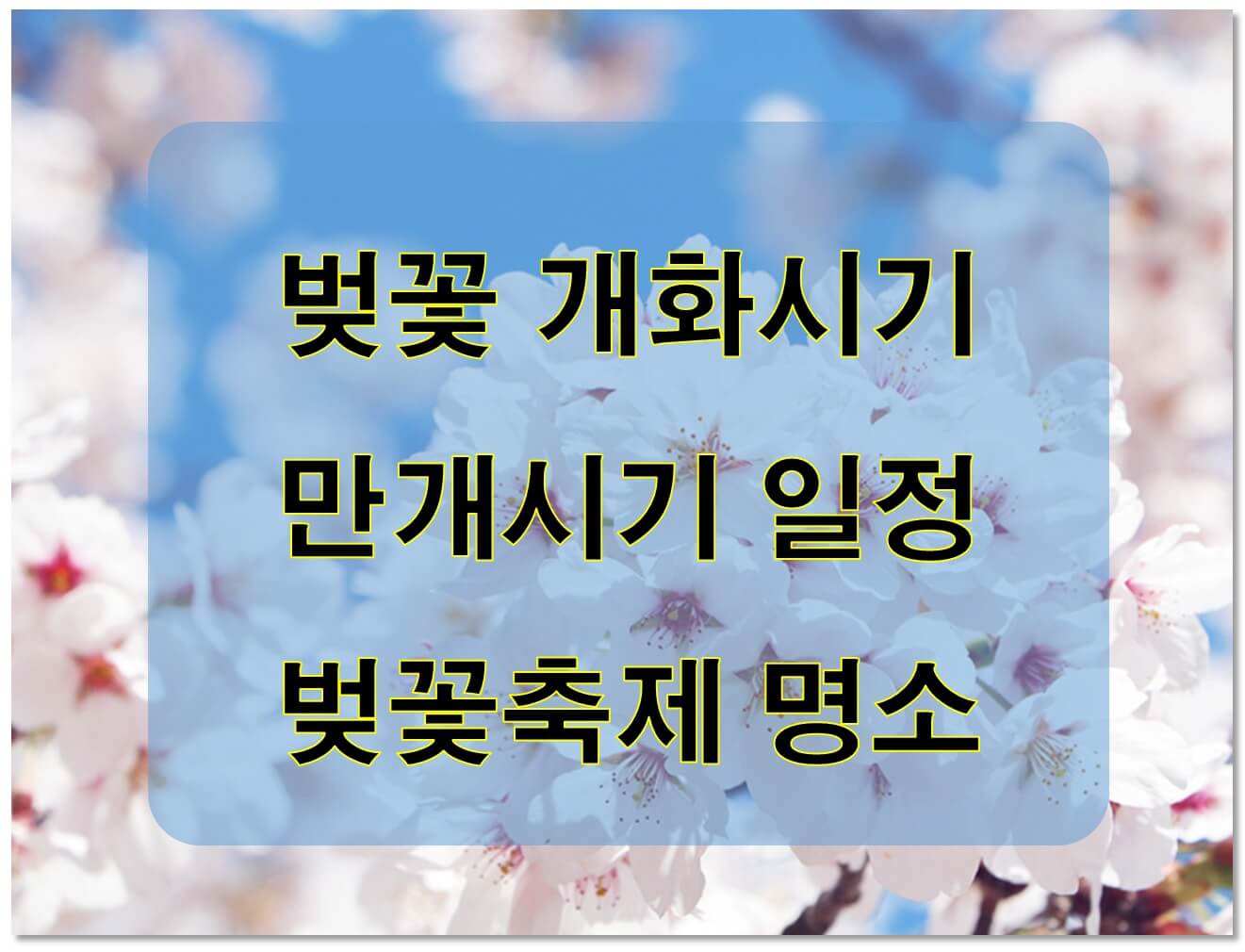 벚꽃 개화시기 및 축제일정 명소
