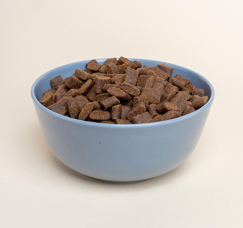 강아지 사료가 든 그릇