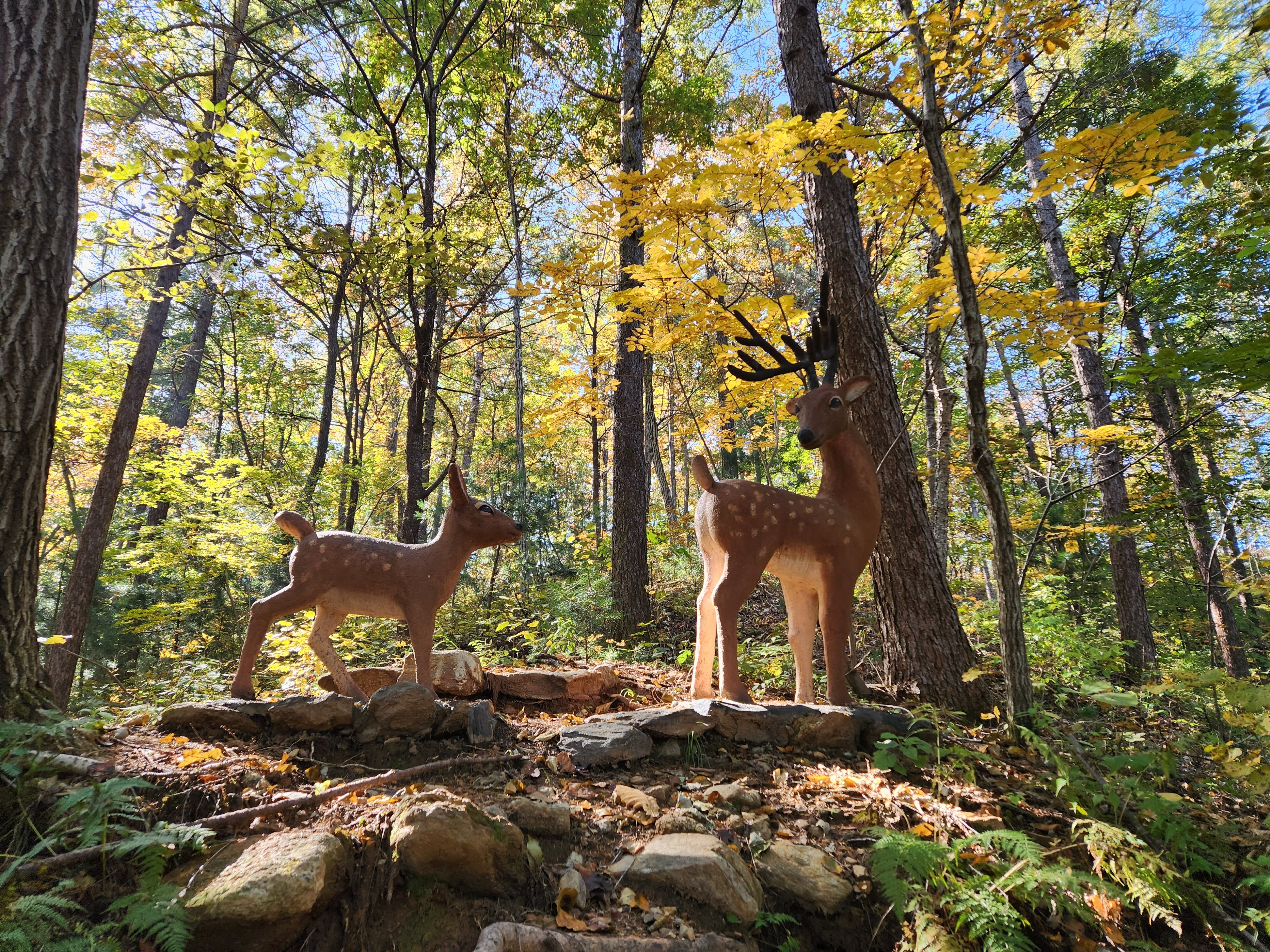 가평 유명산 자연휴양림 예약 방법 후기 가격 날씨 정보