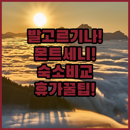 발고르기나 몬트세니 숙소 비교 당신의..